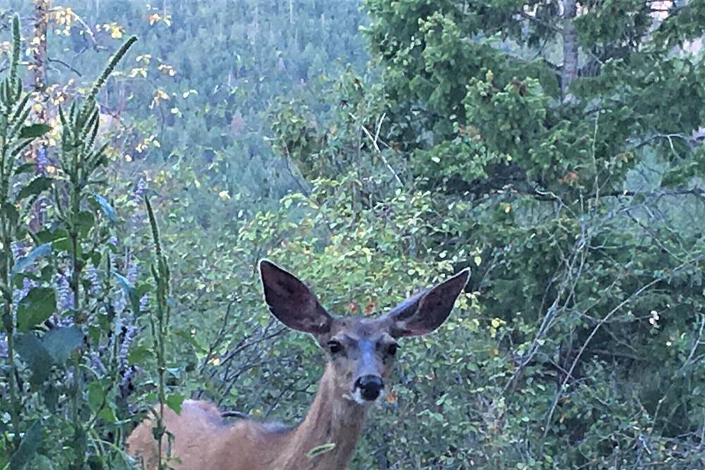 Photo of Others in Okanagan-Similkameen