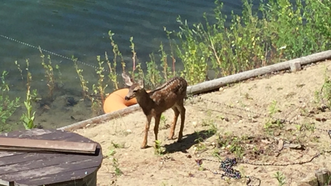 Photo of Outdoor in Okanagan-Similkameen
