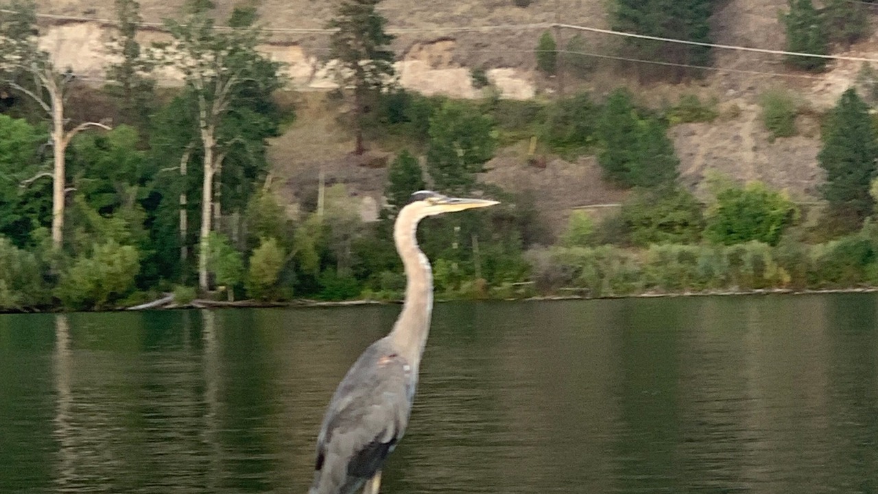 Photo of Others in Central Okanagan