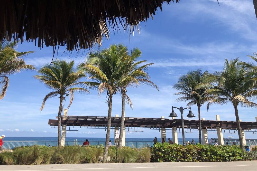 Photo of Outdoor in Parrot Cove