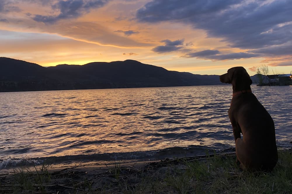 Photo of Others in Okanagan-Similkameen