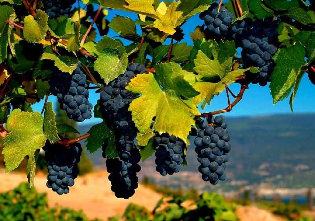 Photo of Outdoor in Okanagan-Similkameen
