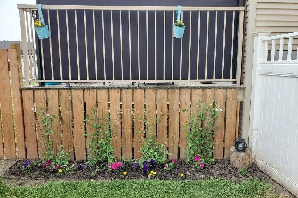 Photo of Outdoor in Red Deer