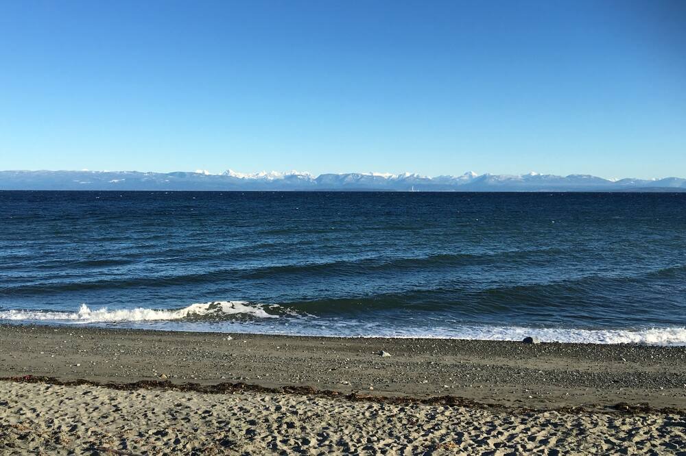 Photo of Others in Courtenay