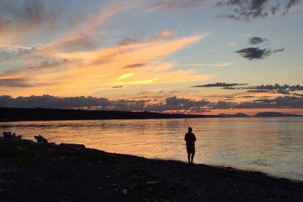 Photo of Others in Courtenay