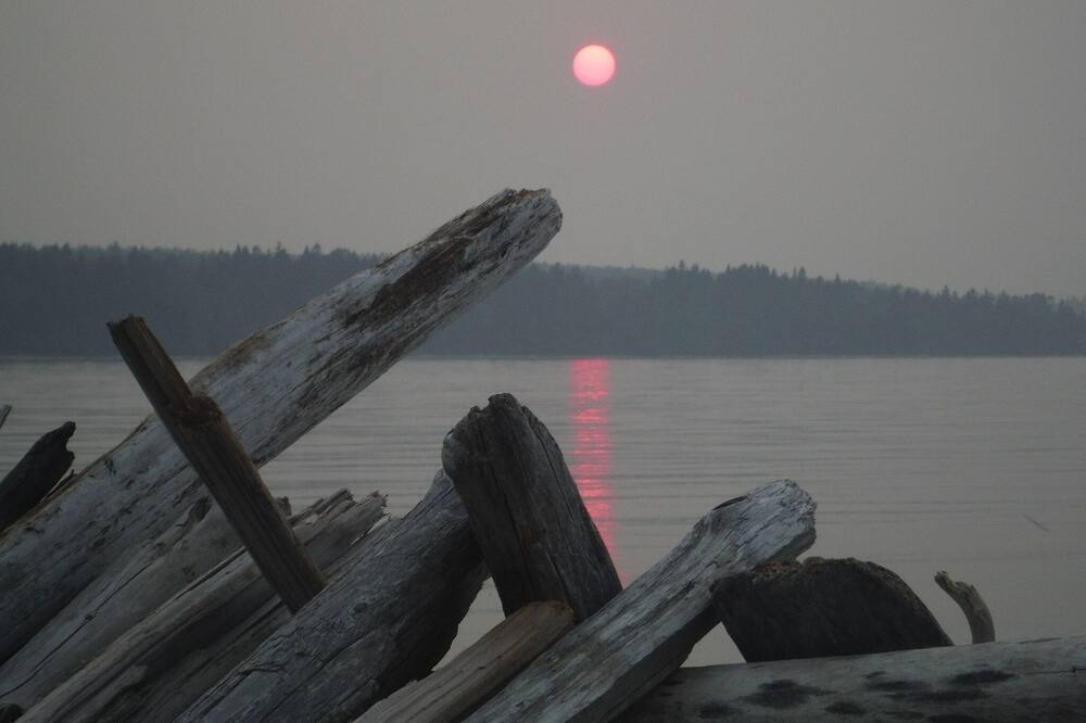 Photo of Others in Courtenay