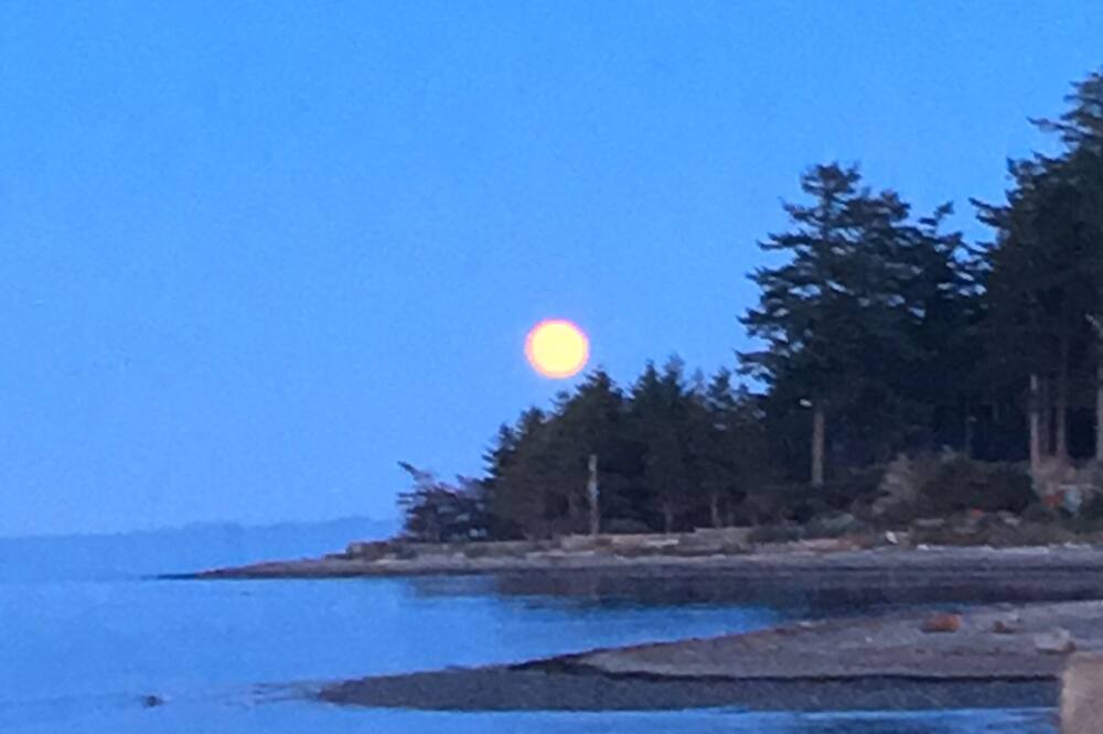 Photo of Others in Courtenay