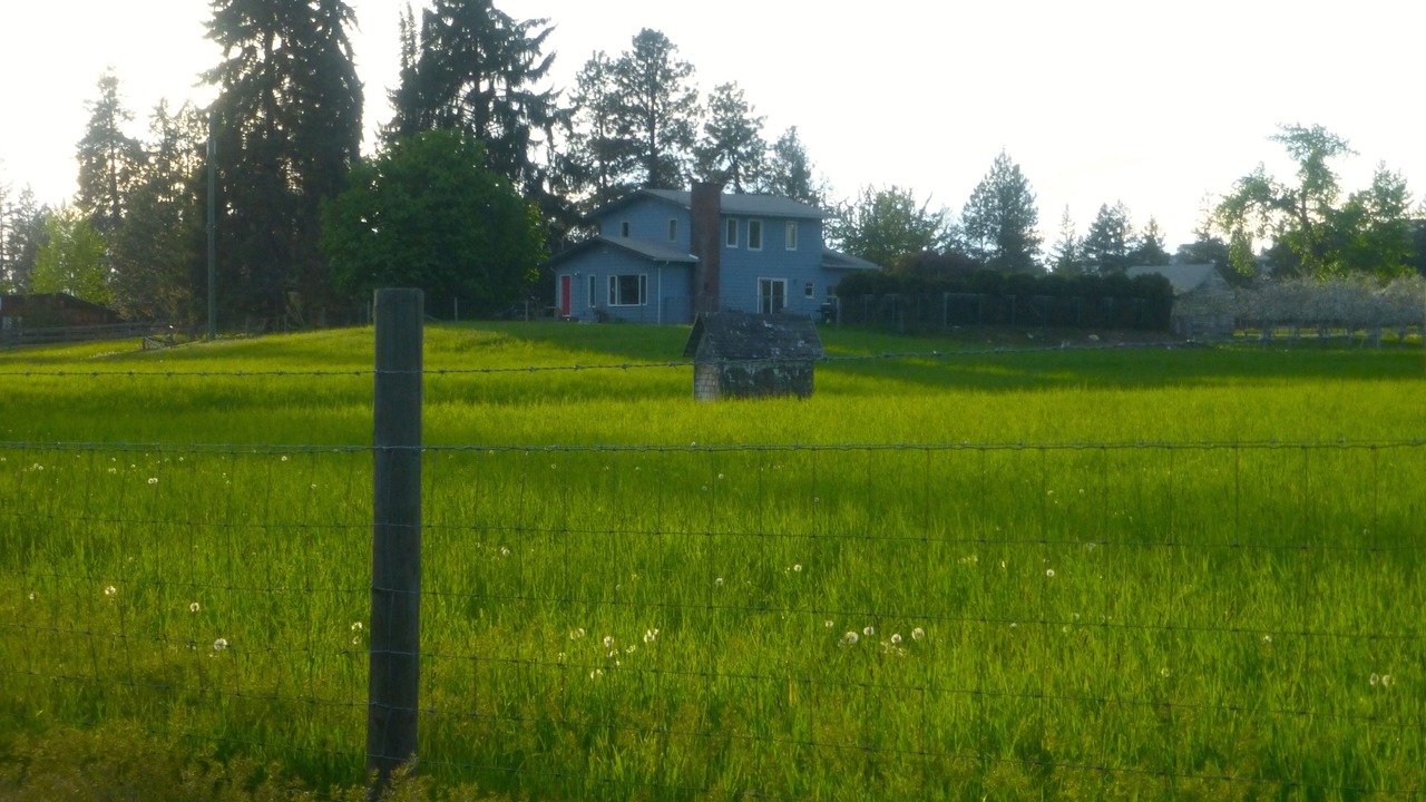 Photo of Outdoor in Vernon