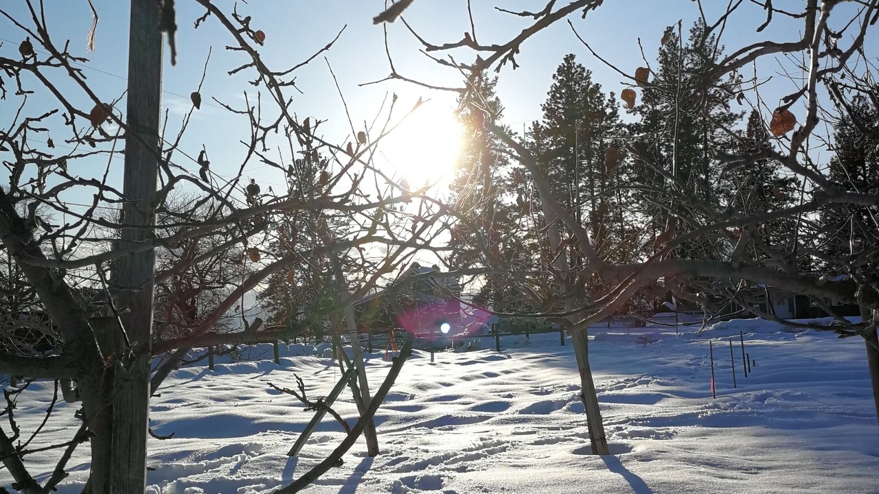 Photo of Outdoor in Vernon