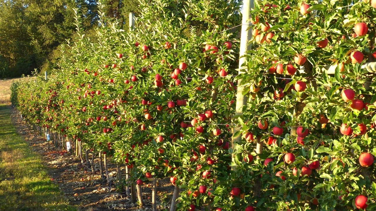 Photo of Outdoor in Vernon
