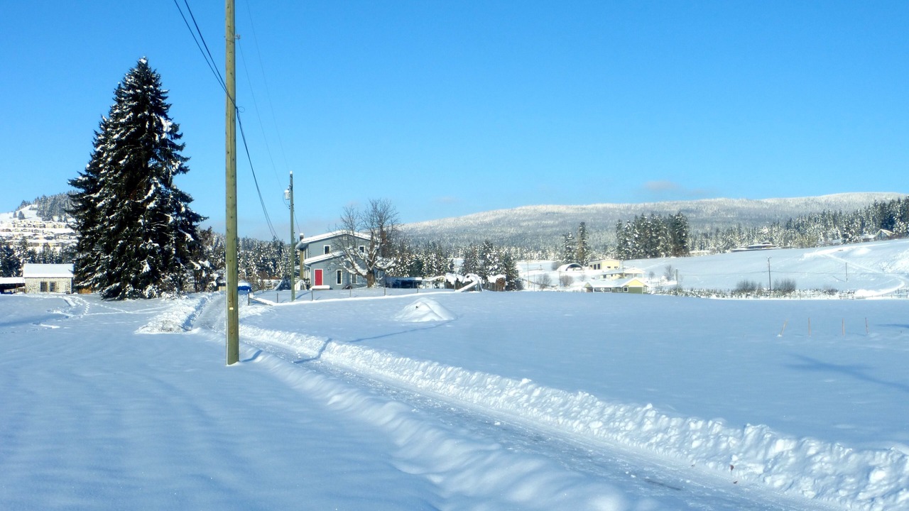 Photo of Others in Vernon