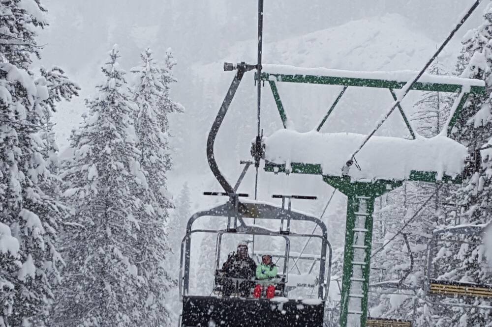 Photo of Others in East Kootenay