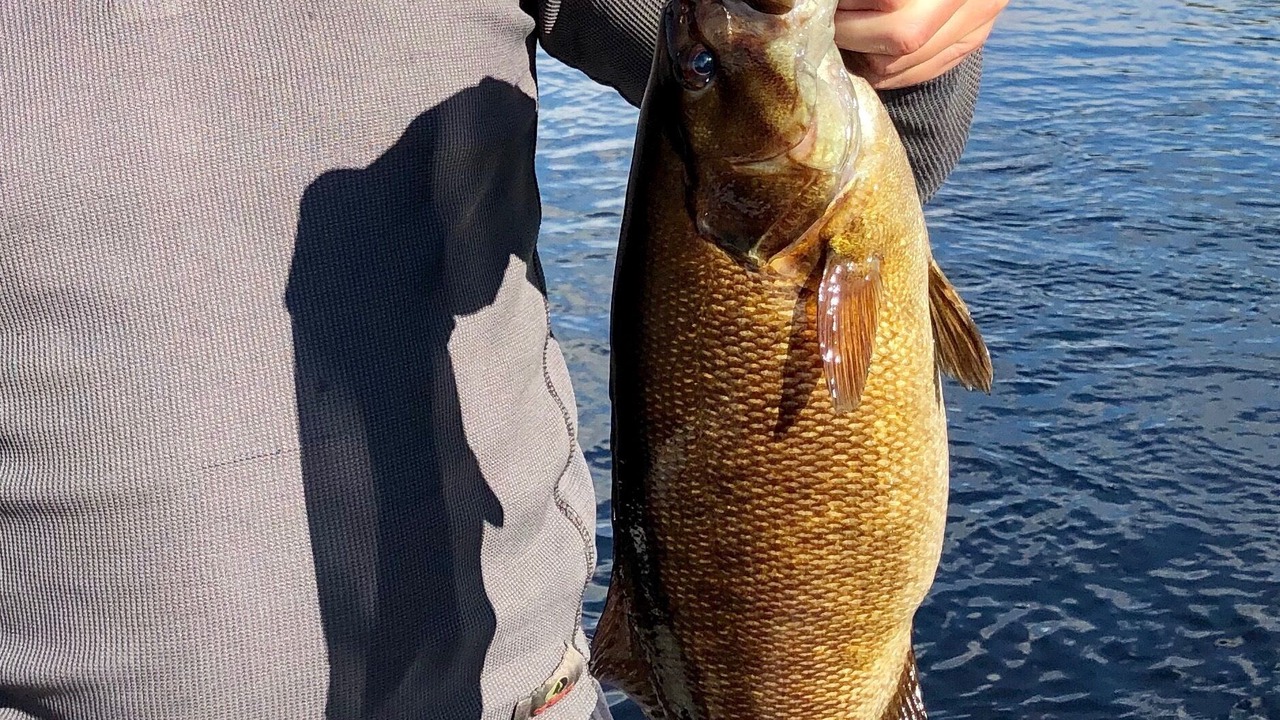 Photo of Others in Sunday River Area