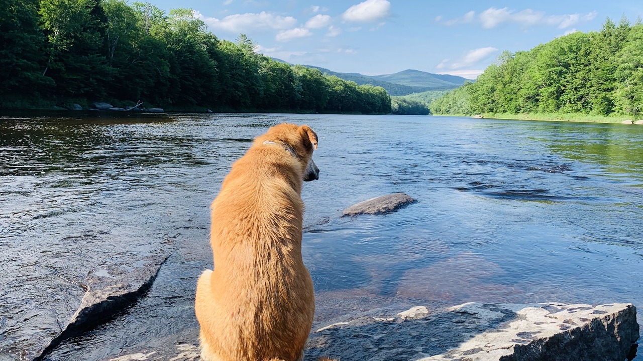 Photo of Others in Sunday River Area