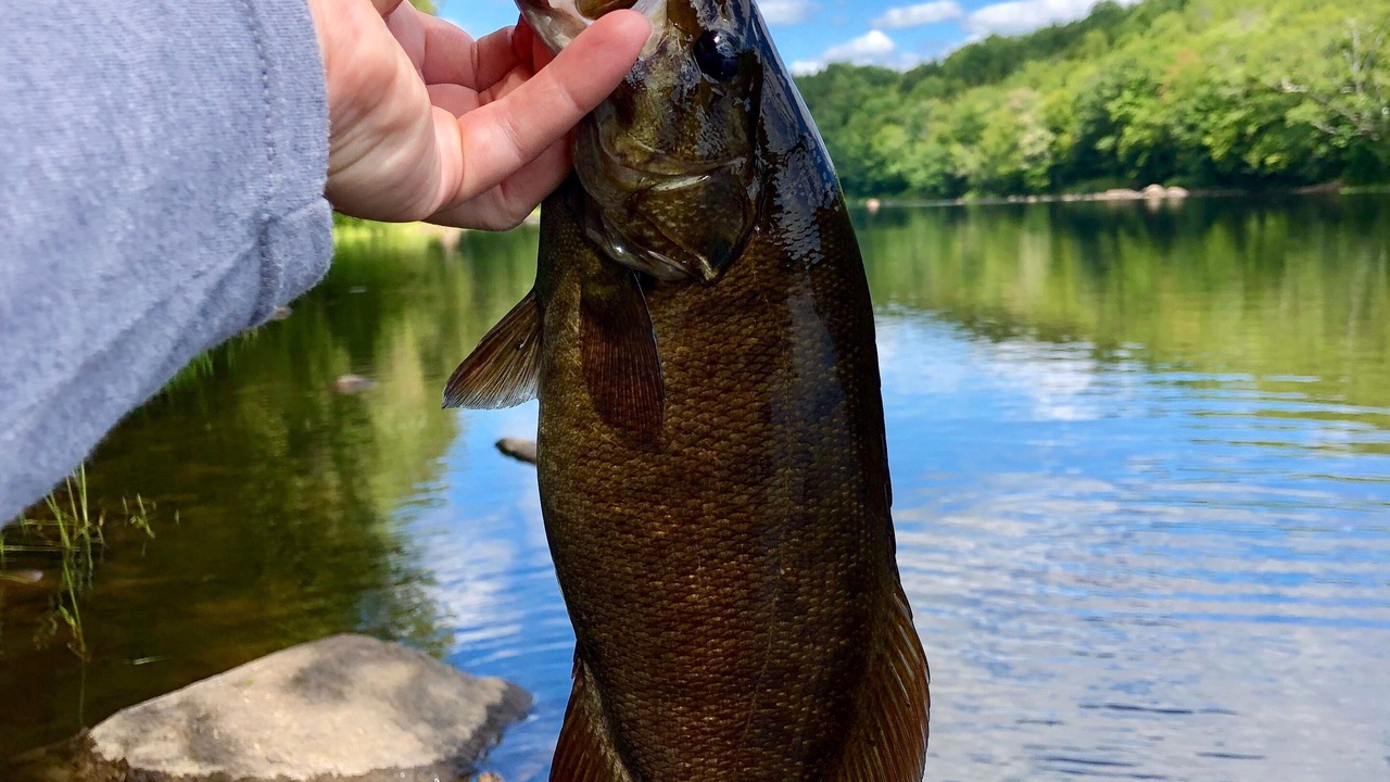 Photo of Others in Sunday River Area