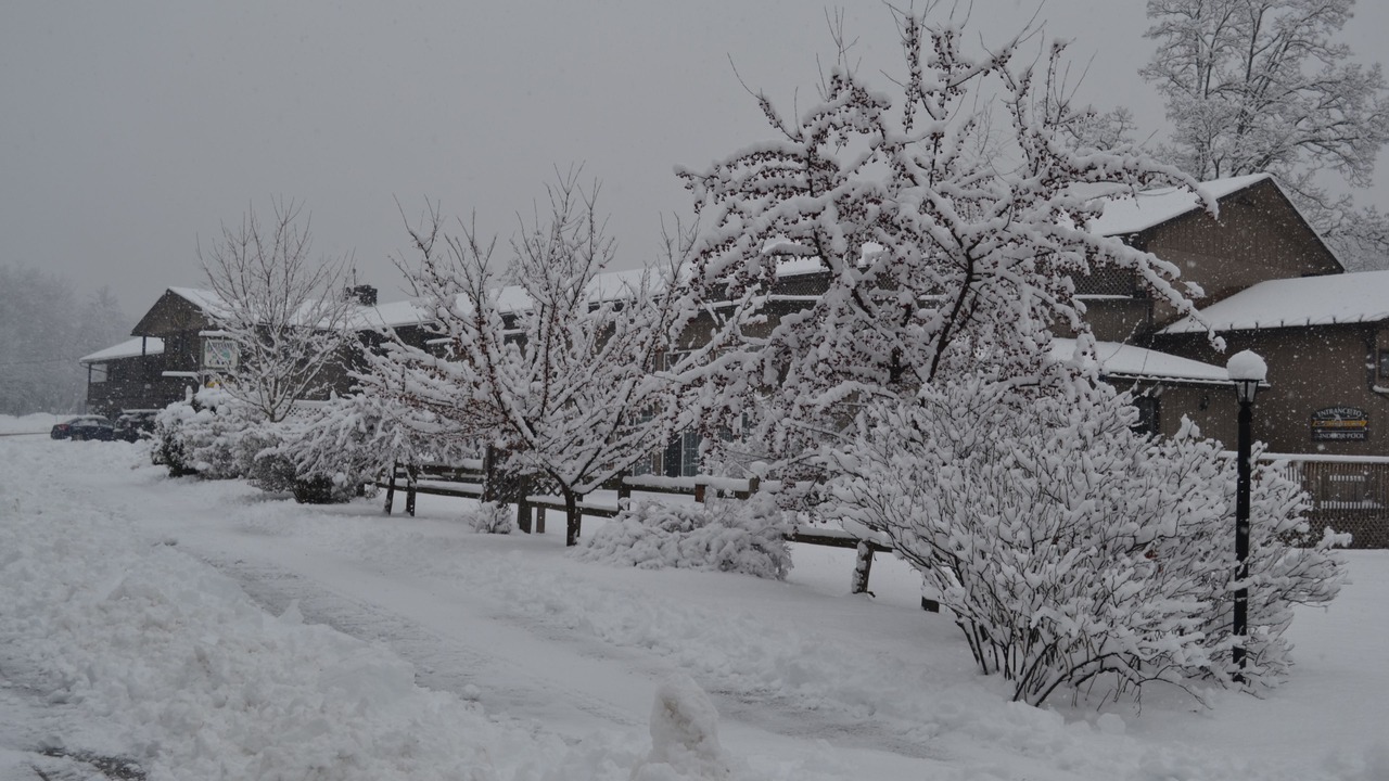 Photo of Outdoor in Lincoln