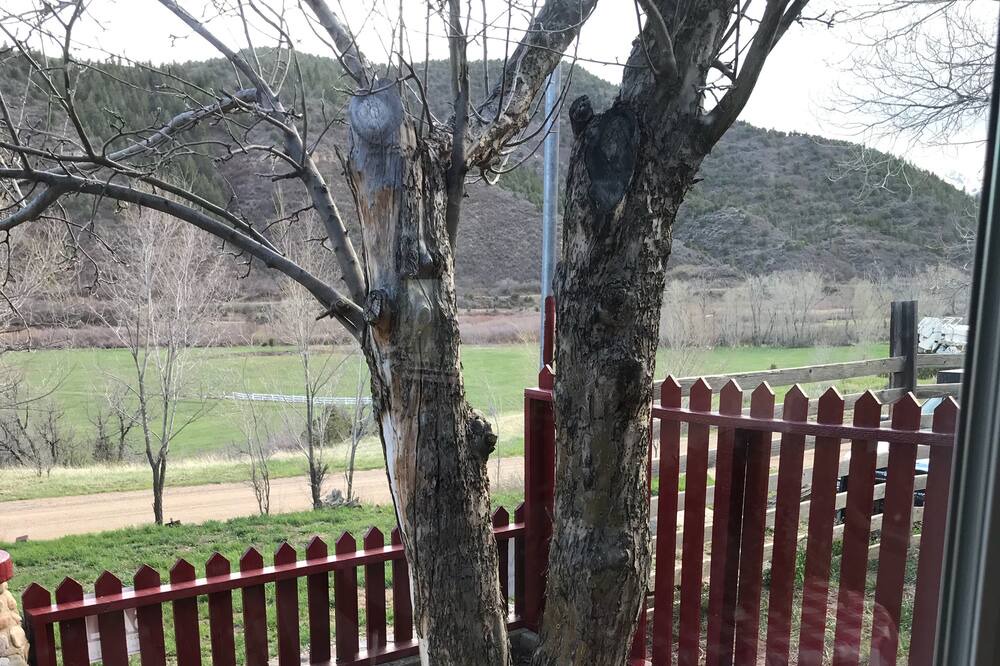 Photo of Outdoor in Weston