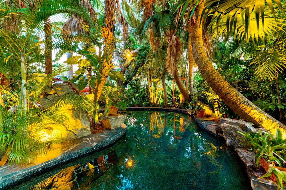 Photo of Outdoor in Parrot Cove