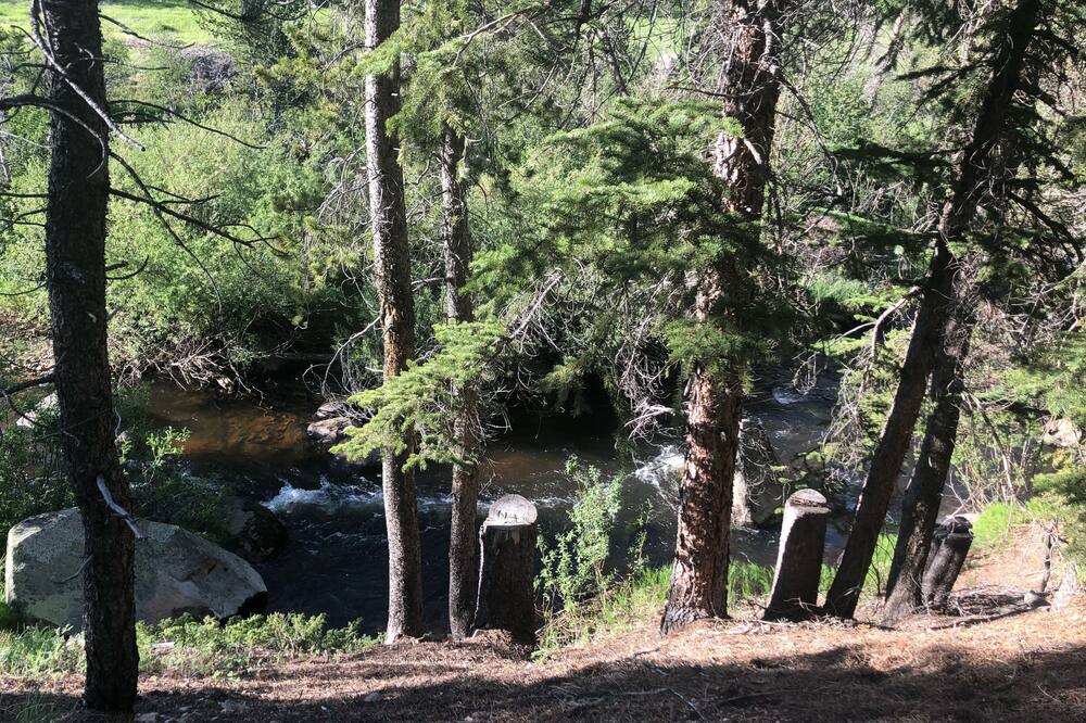 Photo of Others in Crystal Lake