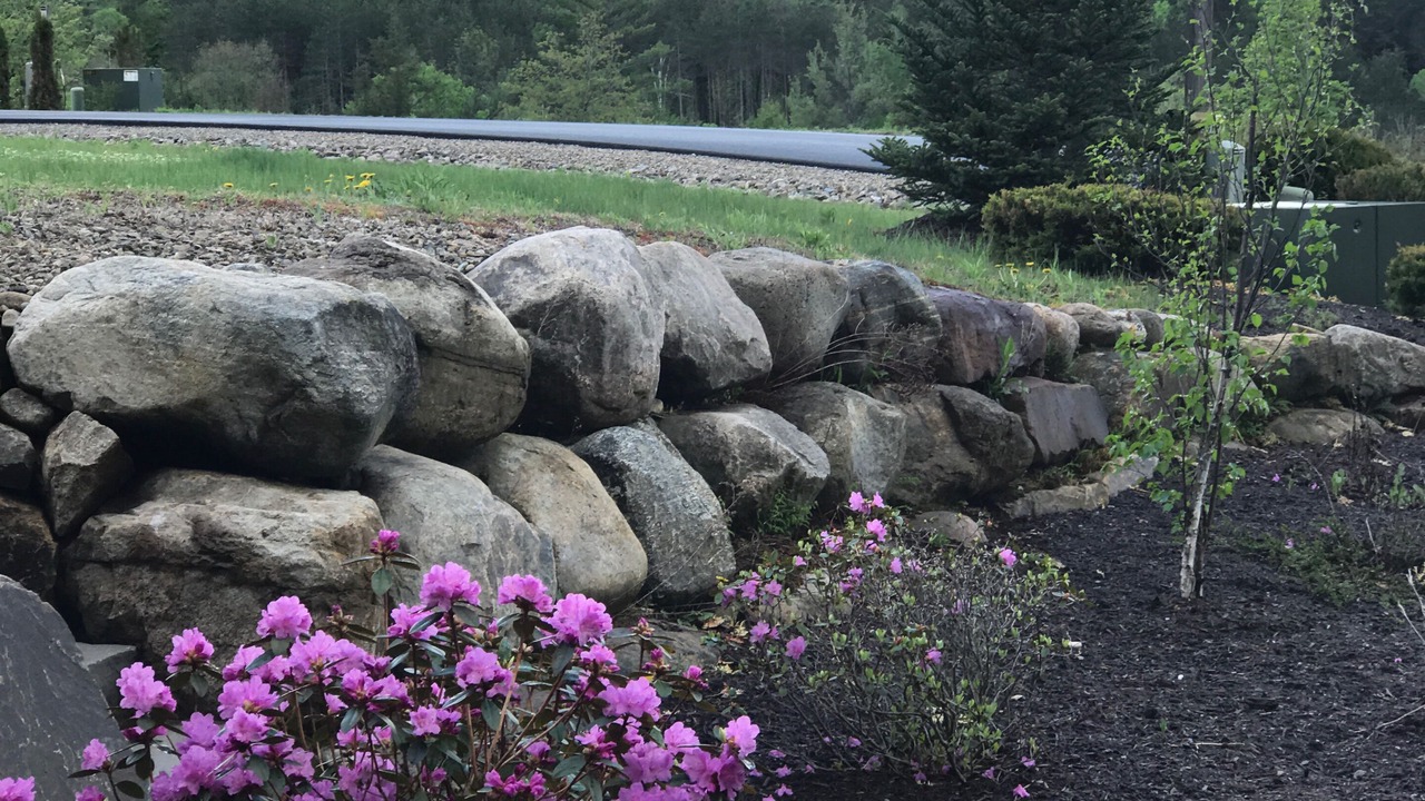 Photo of Outdoor in North Creek