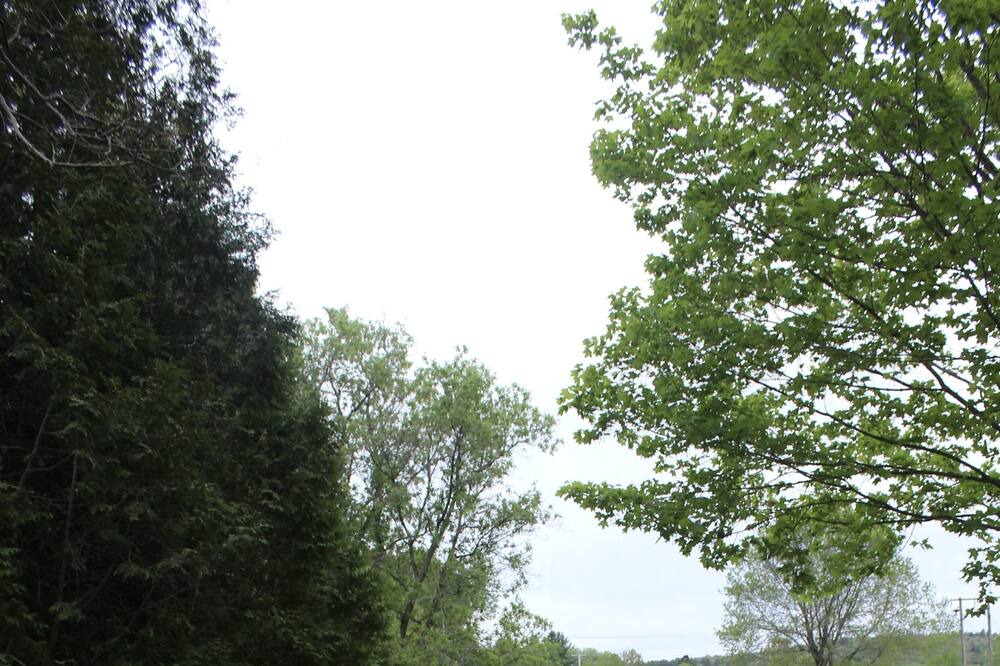 Photo of Outdoor in Stratford