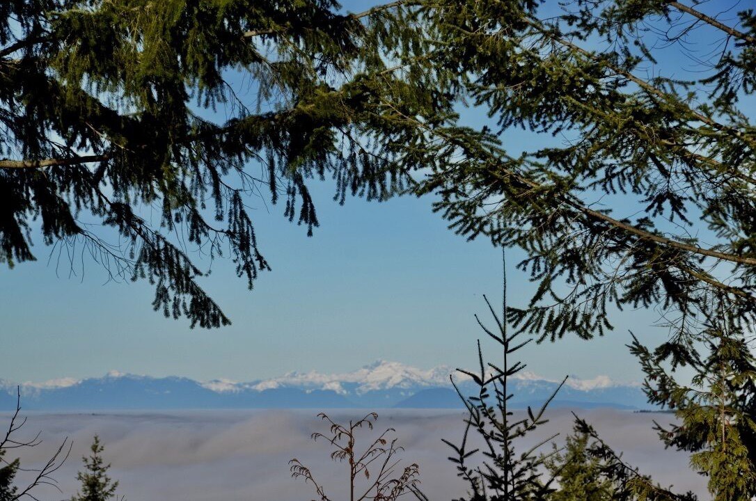 Photo of Others in Salt Spring Island