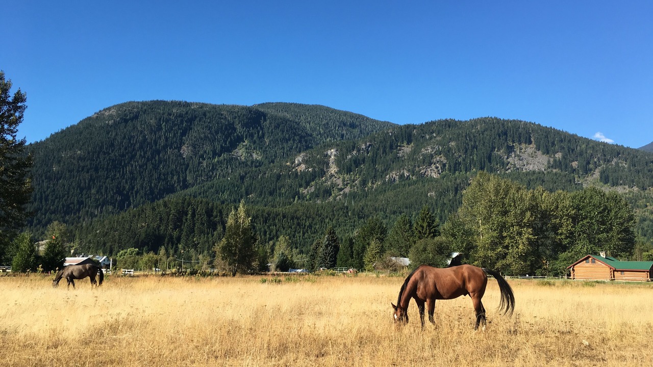 Photo of Outdoor in Pemberton