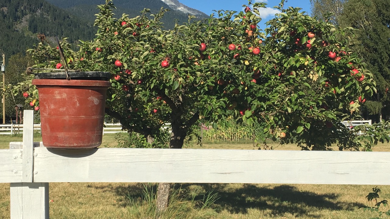 Photo of Outdoor in Pemberton