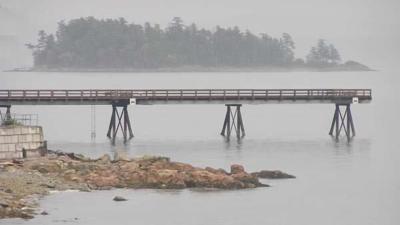 Photo of Others in Sidney