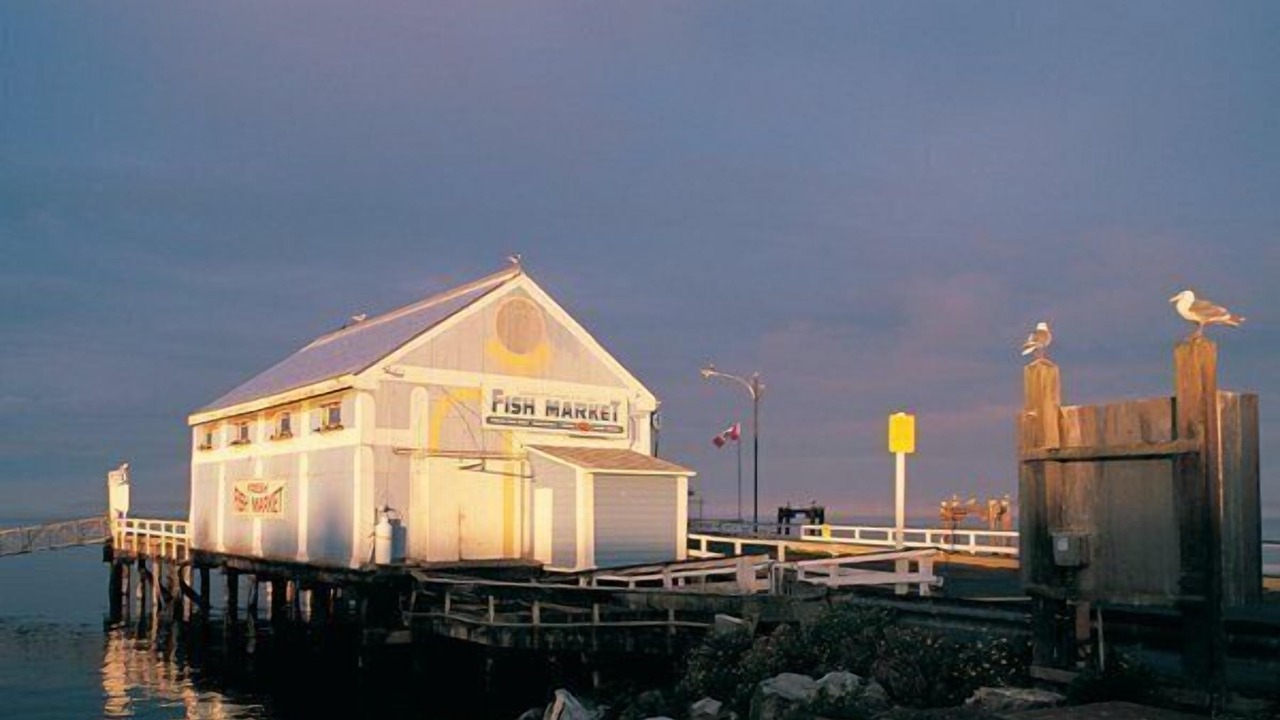 Photo of Outdoor in Sidney