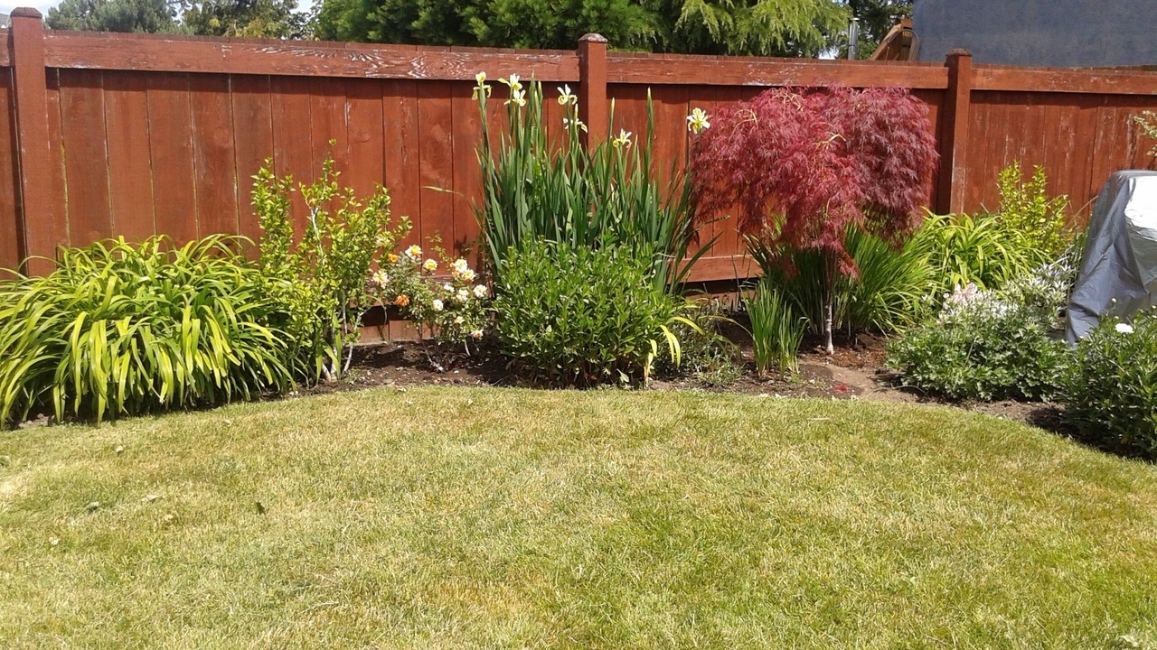 Photo of Outdoor in Sidney