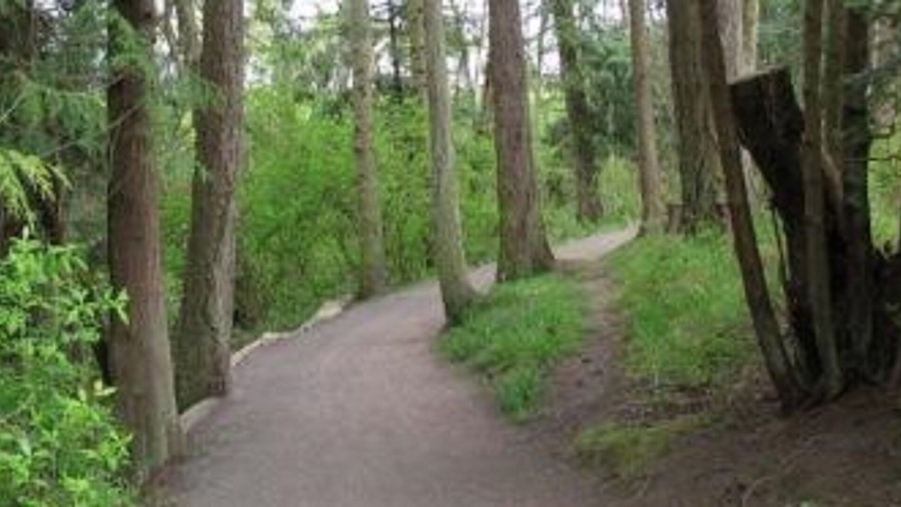 Photo of Outdoor in Sidney