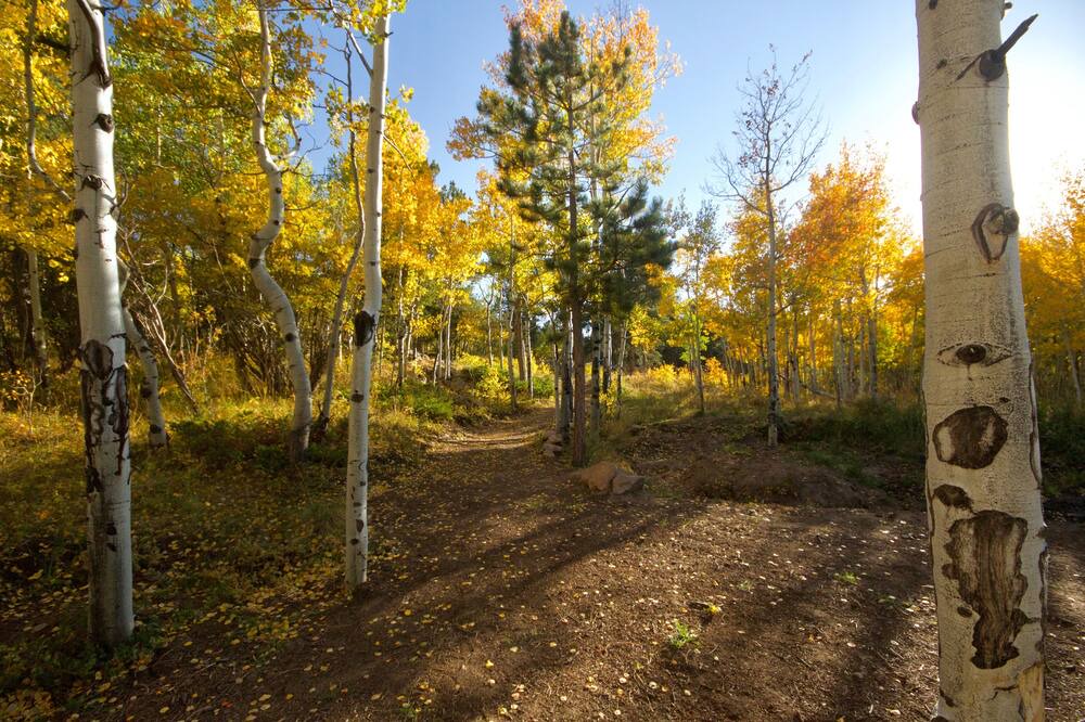 Photo of Outdoor in Red Feather Lakes