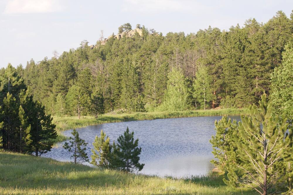Photo of Outdoor in Red Feather Lakes