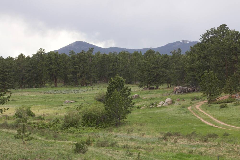 Photo of Others in Red Feather Lakes