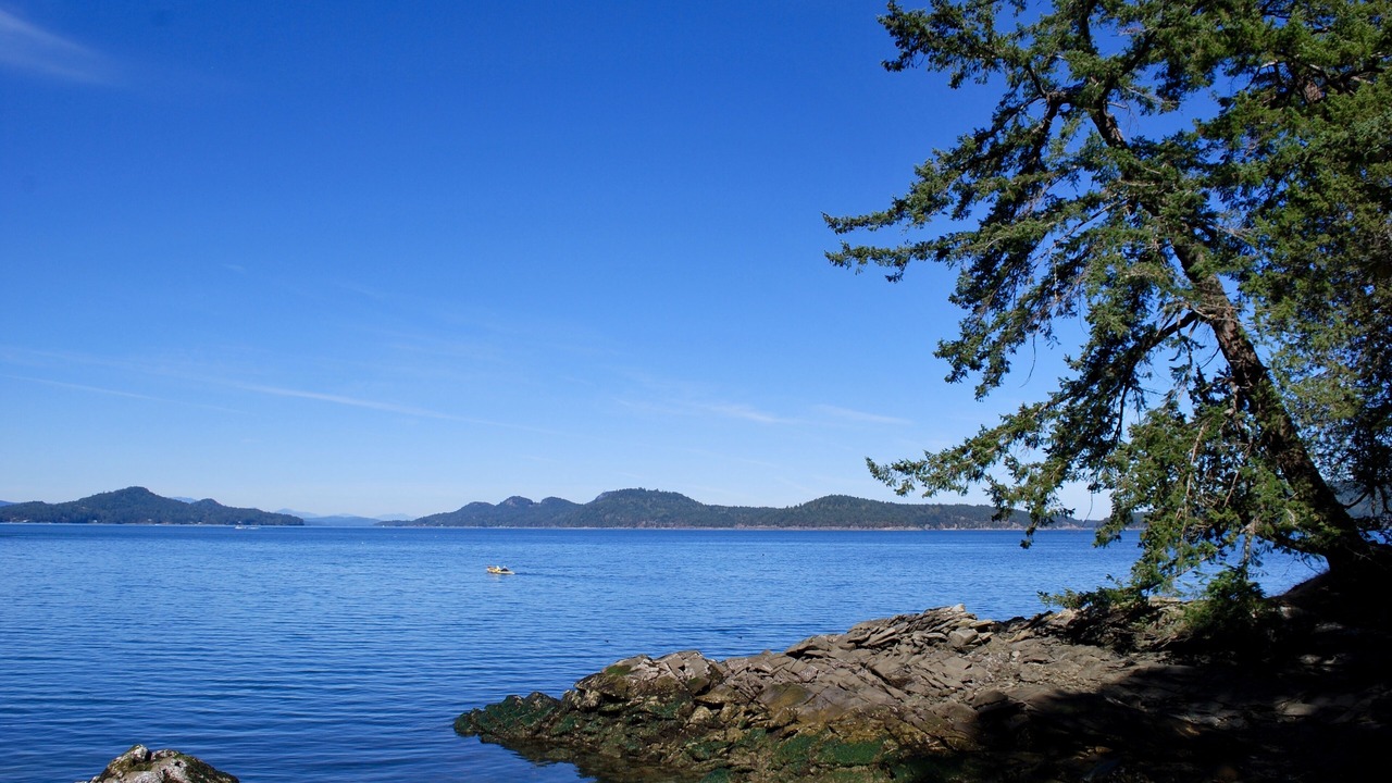 Photo of Others in Saturna Island