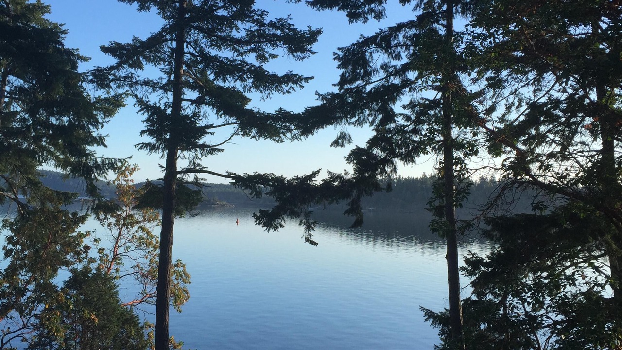Photo of Others in Saturna Island