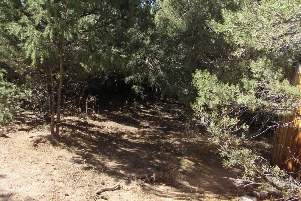 Photo of Outdoor in Crestone
