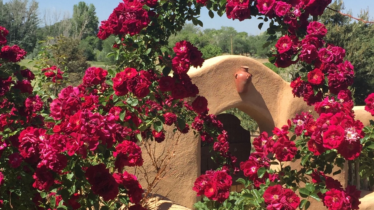 Photo of Outdoor in Taos