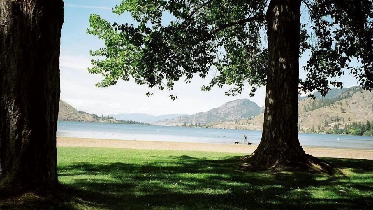 Photo of Others in Okanagan-Similkameen