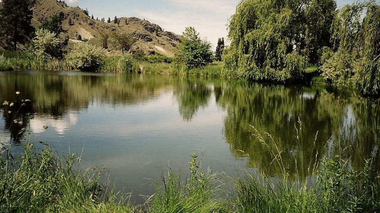 Photo of Outdoor in Okanagan-Similkameen