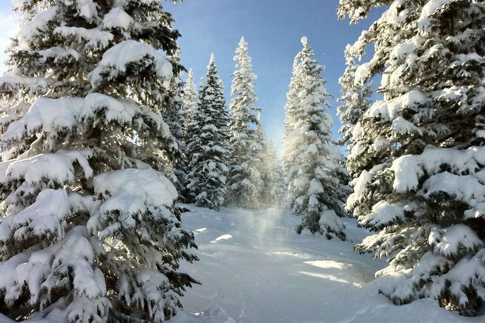 Photo of Others in Aspen