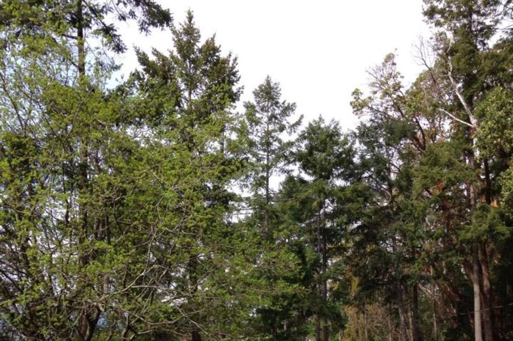 Photo of Outdoor in Salt Spring Island
