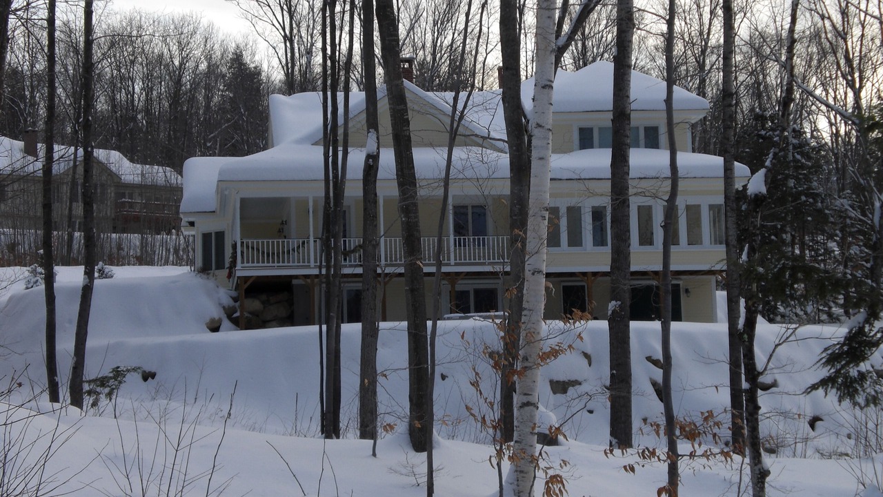 Photo of Outdoor in Bartlett