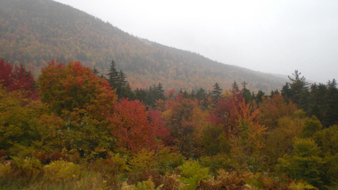 Photo of Outdoor in Bartlett
