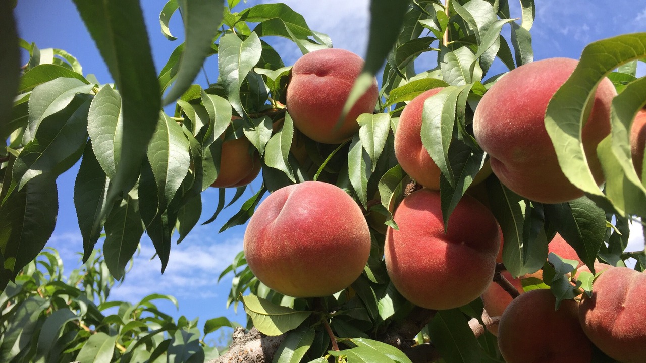 Photo of Outdoor in Okanagan-Similkameen