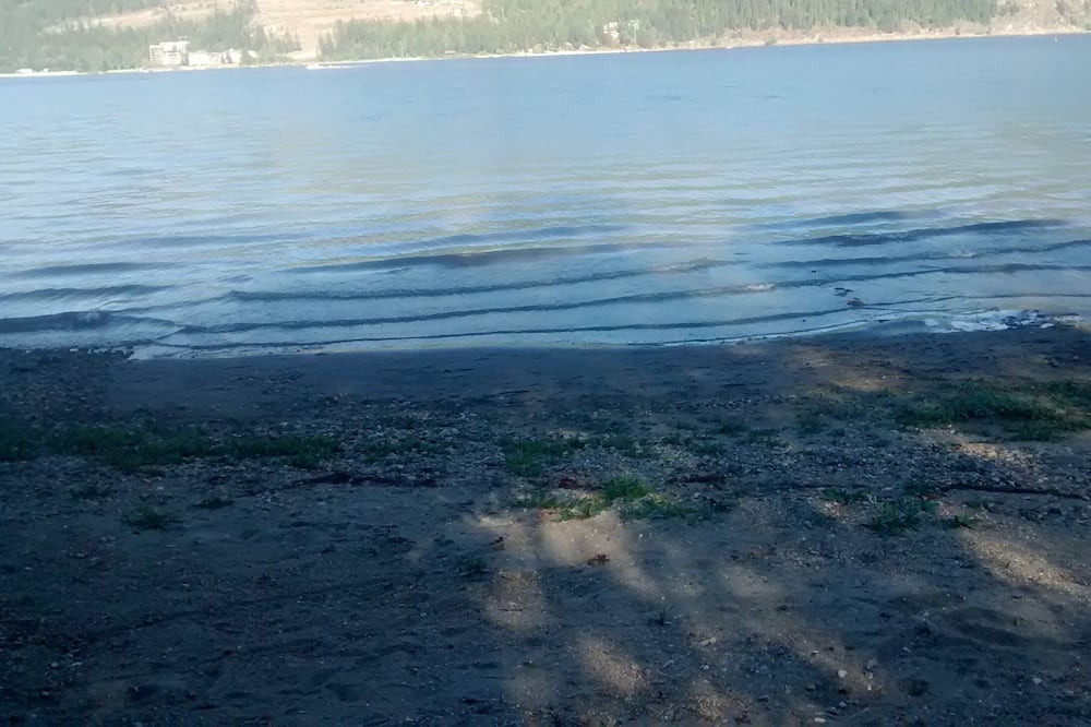 Photo of Others in Sicamous