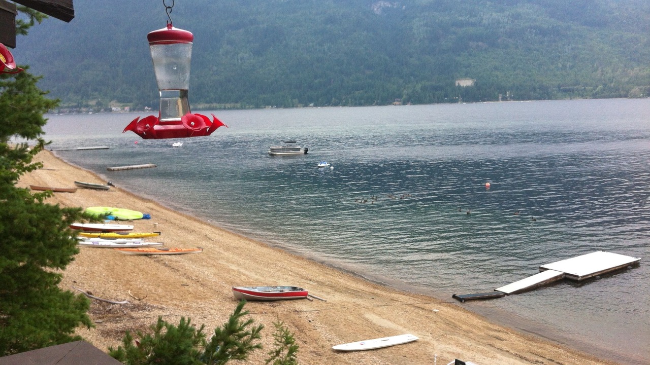 Photo of Others in Eagle Bay