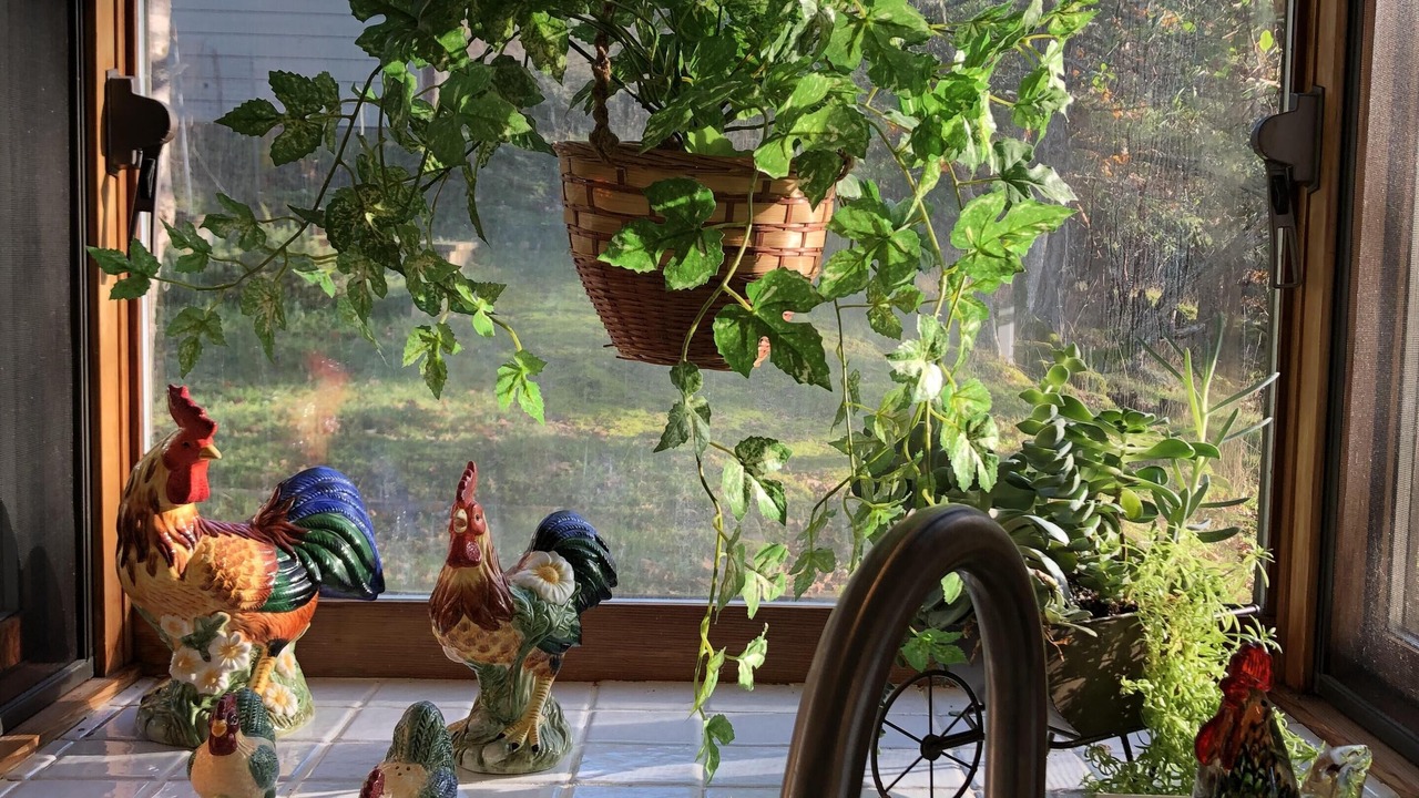 Photo of Others in Salt Spring Island