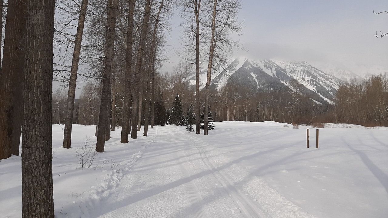 Photo of Others in East Kootenay